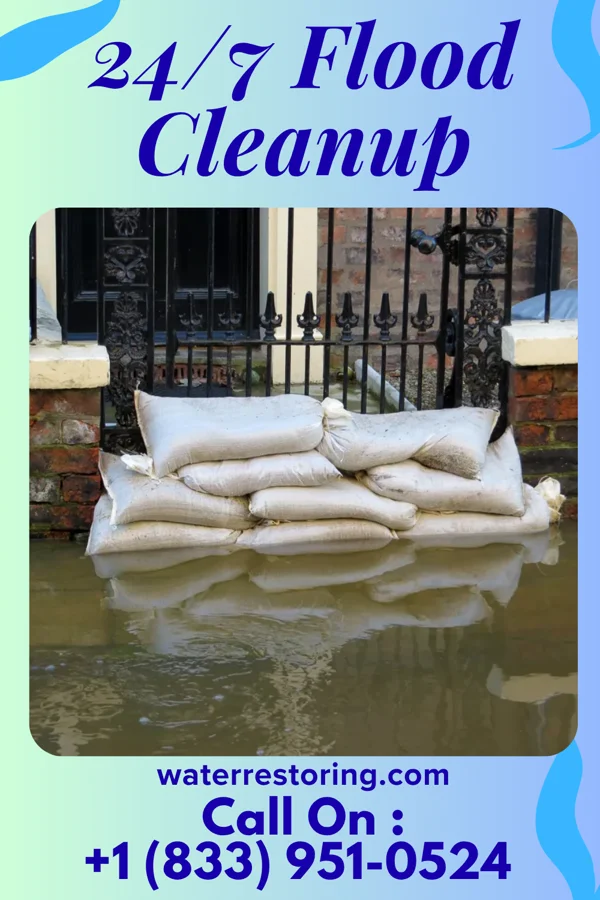 24/7 Flood Cleanup in Mount Briar, MD