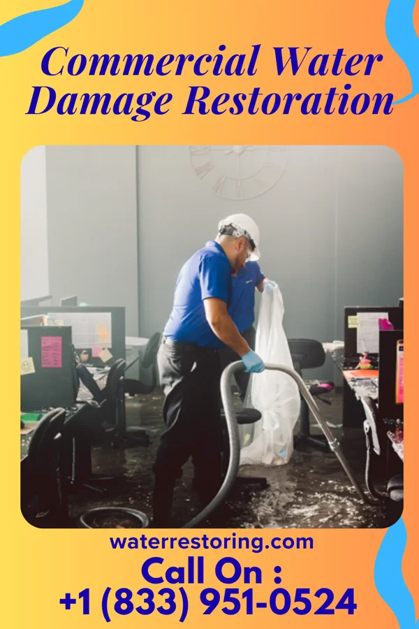 Commercial Water Damage Restoration in Mount Briar, MD