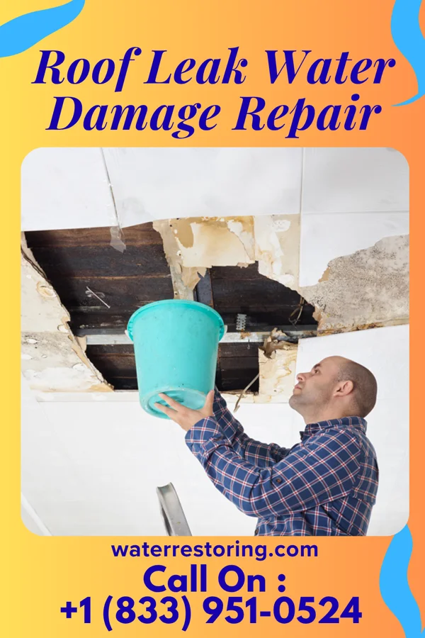 Roof Leak Water Damage Repair in Mount Briar, MD