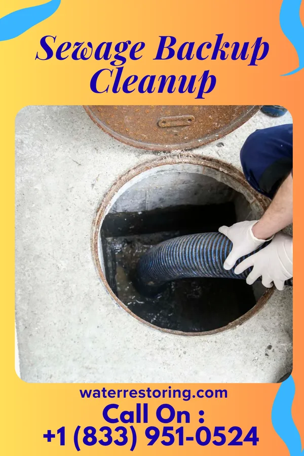 Sewage Backup Cleanup in Mount Briar, MD