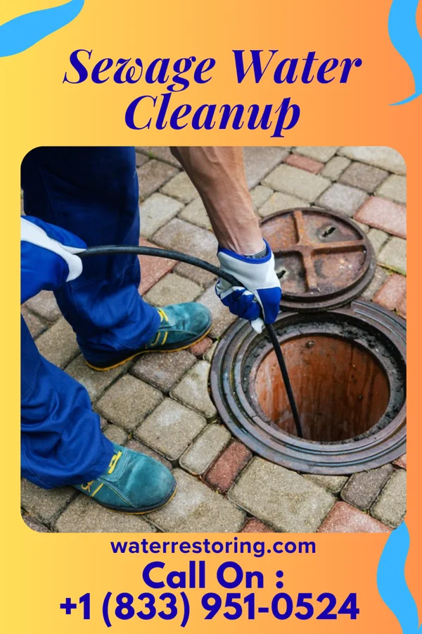 Sewage Water Cleanup in Mount Briar, MD